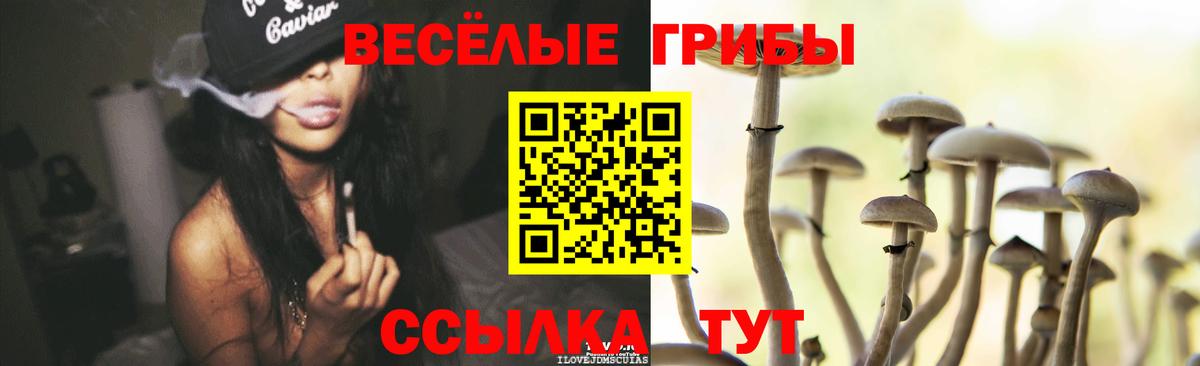 Псилоцибиновые грибы Psilocybe  Вход с VPN  Менделеевск  Галлюциногенные грибы ЛСД 